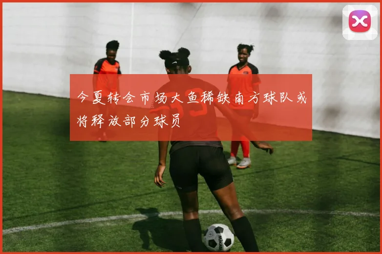 今夏转会市场大鱼稀缺南方球队或将释放部分球员