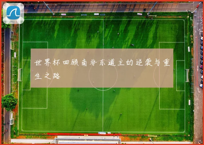 世界杯回顾南非东道主的逆袭与重生之路